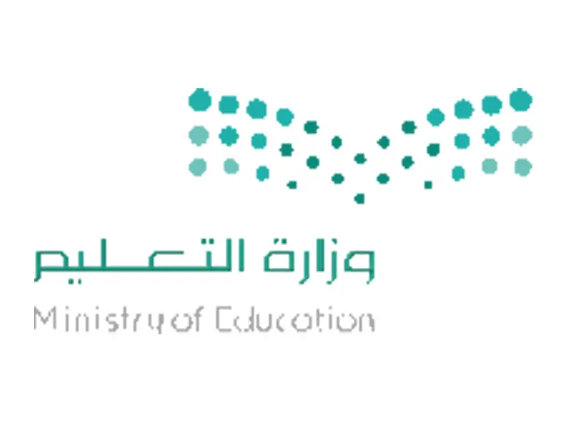 Partner MediaMore 15 شركة ميديا مور