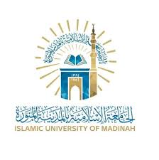 images 12 شركة ميديا مور